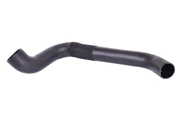 BUGIAD Crijevo turba